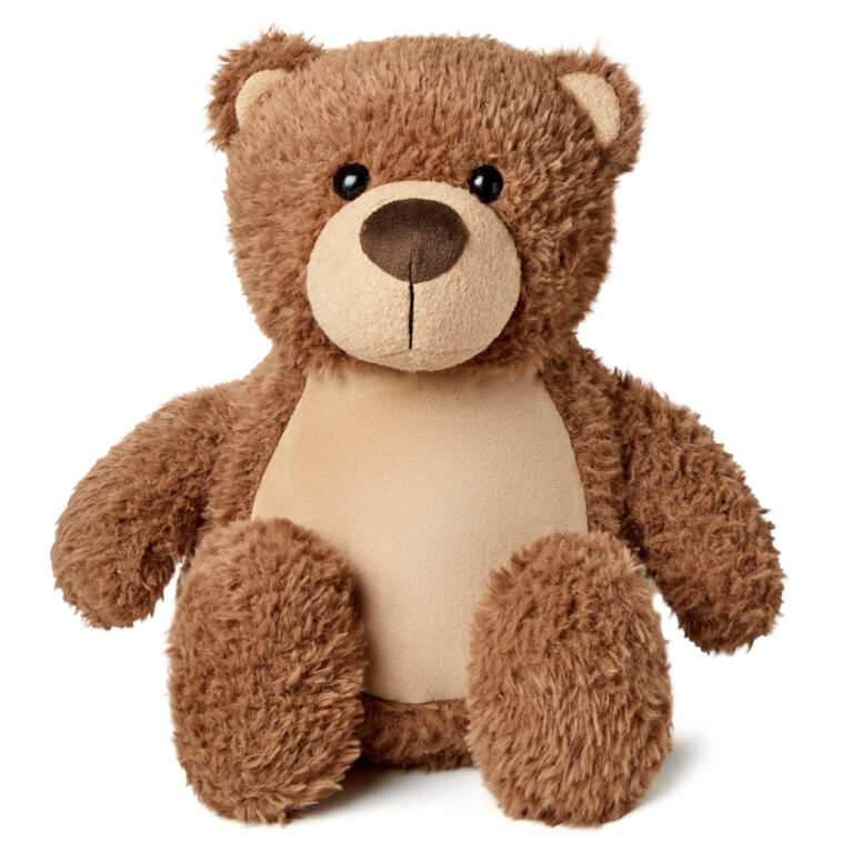 Brown Bear Front